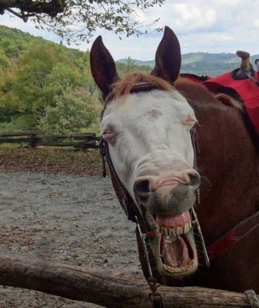 Подборка прикольных картинок (53 фото)