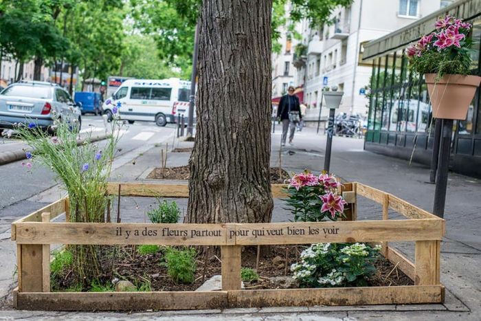 В Париже начнут поддерживать развитие частных городских садов (6 фото)