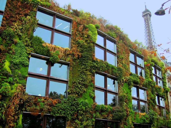 В Париже начнут поддерживать развитие частных городских садов (6 фото)