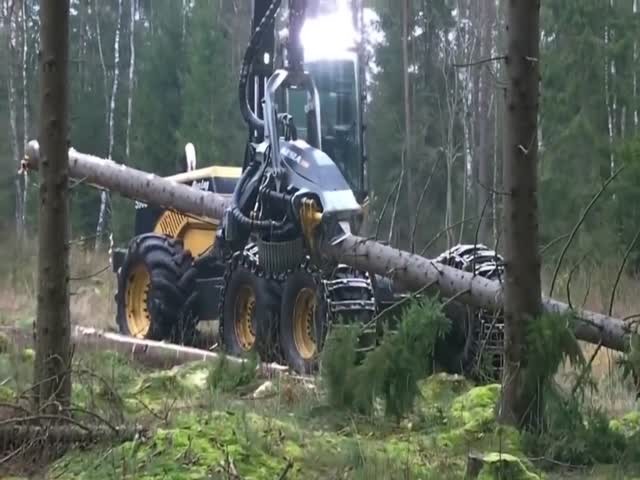 Современная техника для рубки леса
