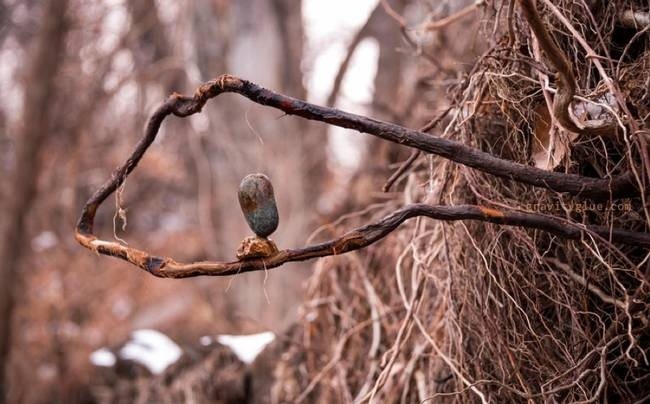 Хобби, в котором главное найти баланс (20 фото)