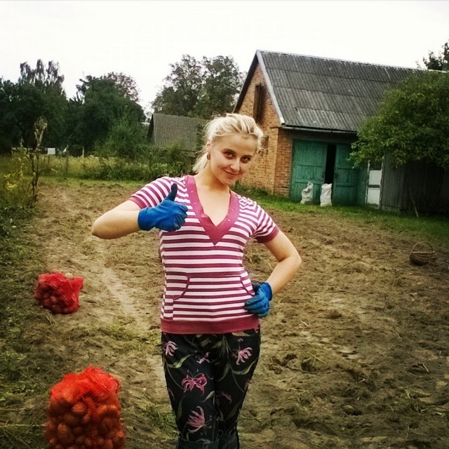 Белорусы копают картошку (27 фото)