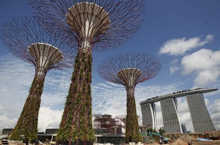 Супер-деревья в Сингапуре (4 фото)