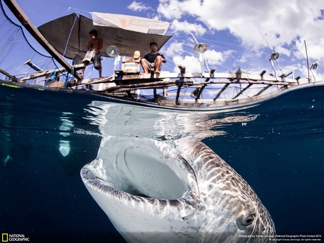 Лучшие фотографии National Geographic (25 фото)