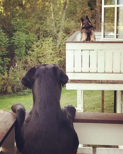 Подборка прикольных фотографий (100 фото)