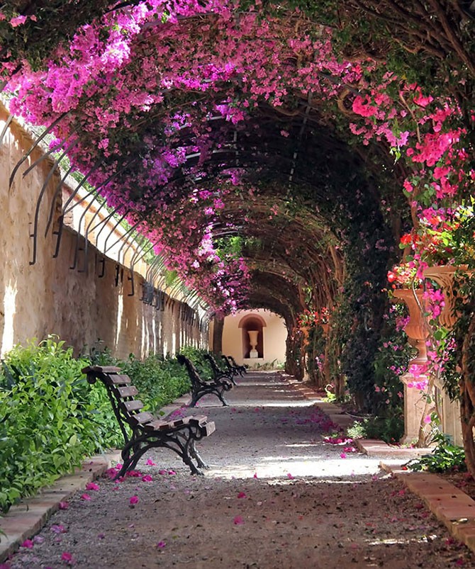 Cамые волшебные улицы в тени цветов и деревьев (15 фото)