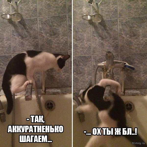 Смешные картинки с надписями (29 фото)