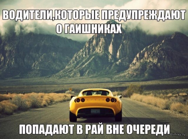 Смешные картинки с надписями (29 фото)