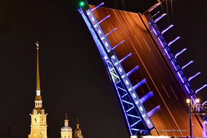 Волшебная красота мостов Петербурга (12 фото)