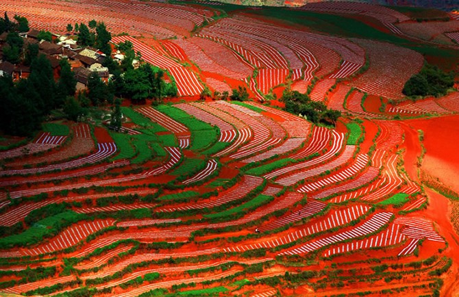 Потрясающие фотографии красных земель Дончуаня (25 фото)