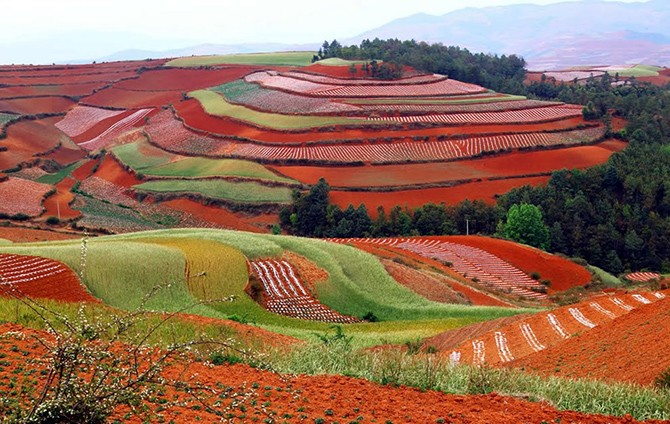 Потрясающие фотографии красных земель Дончуаня (25 фото)