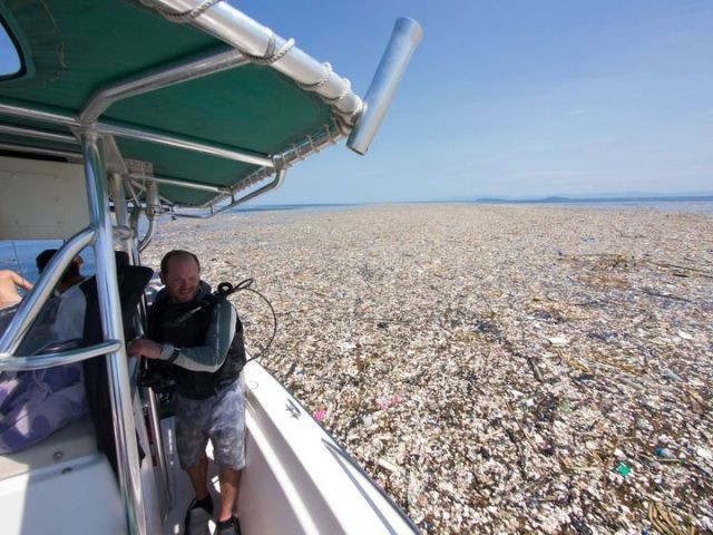 В Карибском море обнаружили остров из пластикового мусора (4 фото)