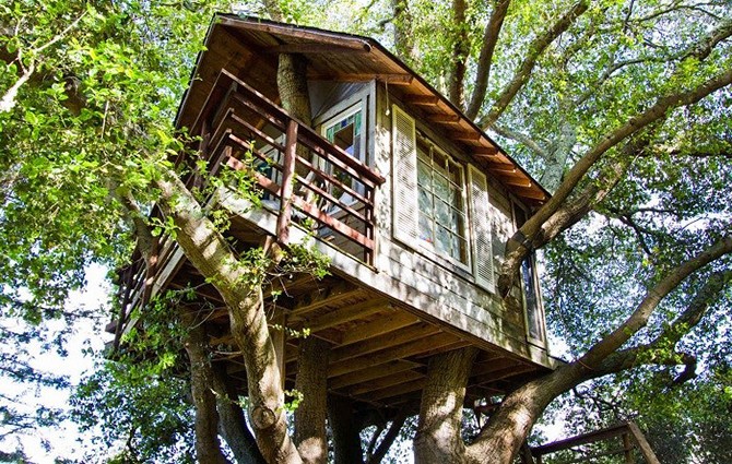 Самые романтичные домики на дереве (9 фото)