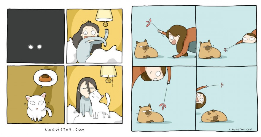 18 комиксов о нелегкой жизни с кошкой
