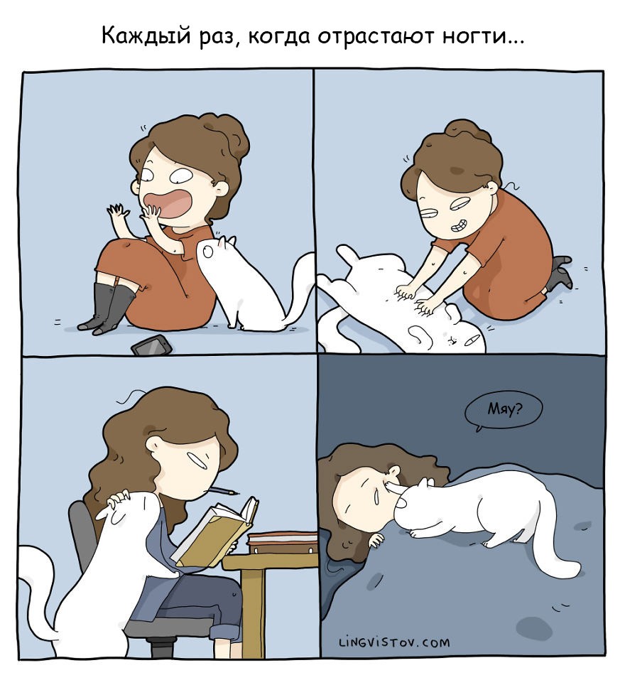 18 комиксов о нелегкой жизни с кошкой