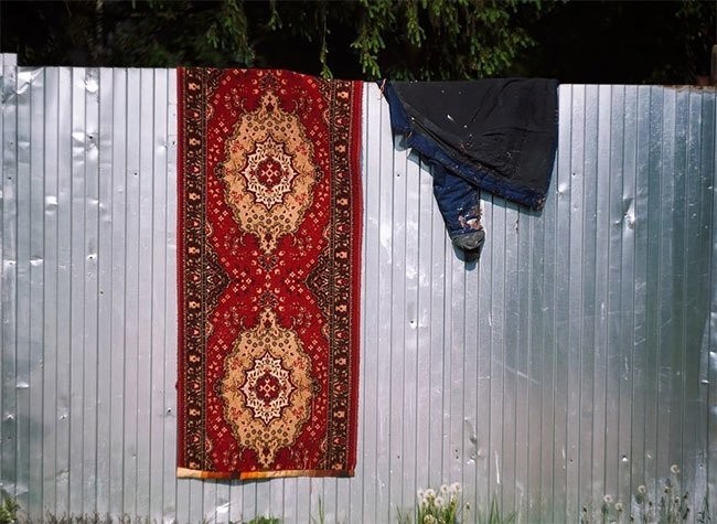 Невероятные приключения ковров в России (30 фото)
