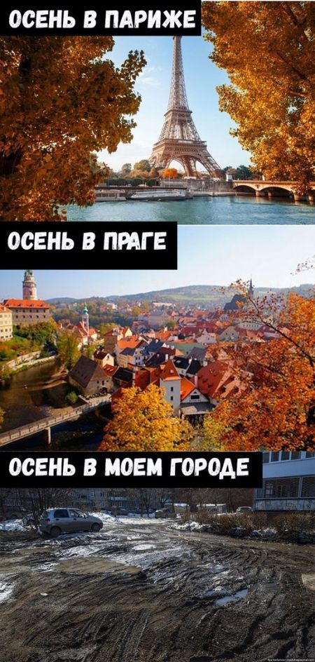 Подборка прикольных фотографий (106 фото)