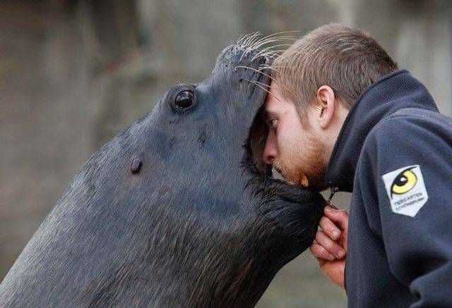 Подборка прикольных фотографий (100 фото)