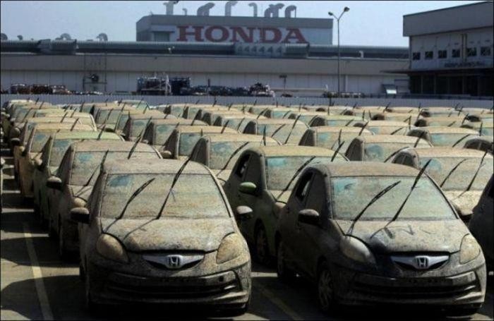 Хонда утилизирует 1055 новых автомобилей-утопленников (7 фото)