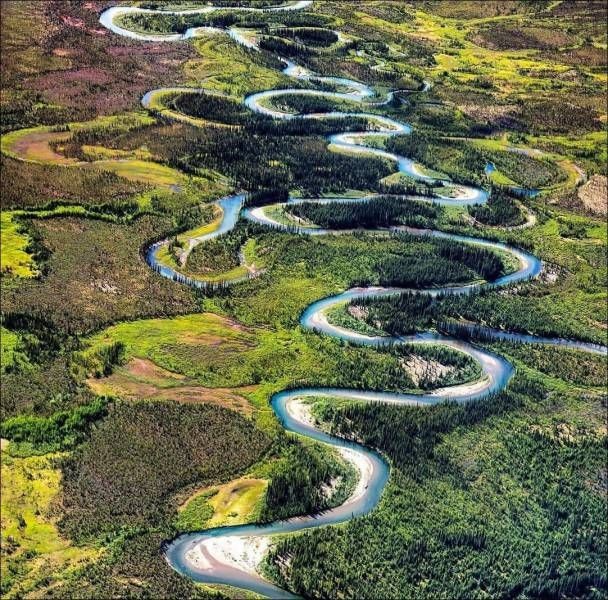 Подборка прикольных фотографий (102 фото)