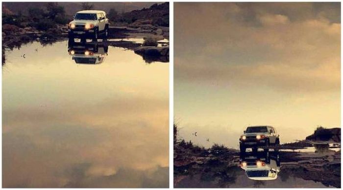 Фото, к которым необходимо приглядываться дважды (48 фото)