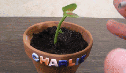 Подборка прикольных гифок