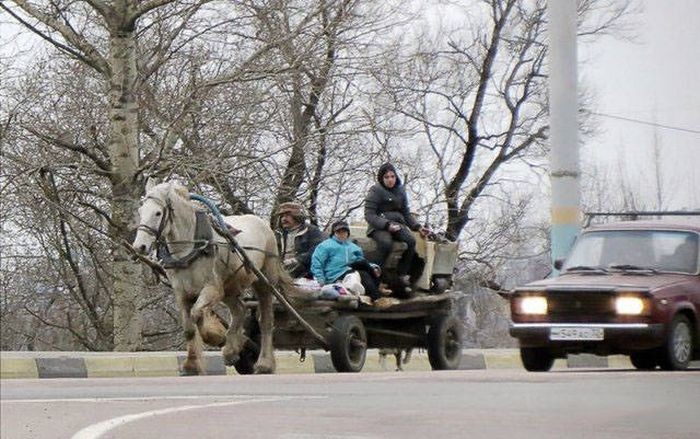 Такое можно увидеть только в России (30 фото)