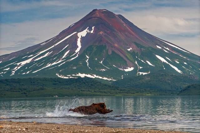 Подборка прикольных фотографий (123 фото)