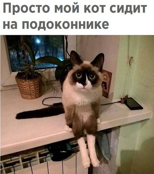 Очередная порция картинок с подписями	(22 фото)