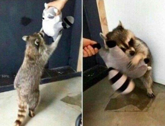 Очередная порция картинок с подписями	(22 фото)