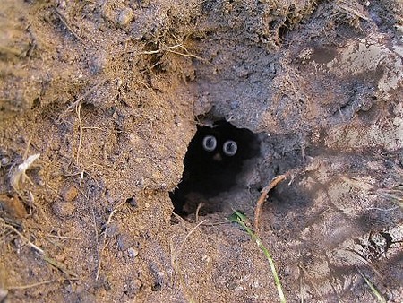 Веселое позирование (35 фото)