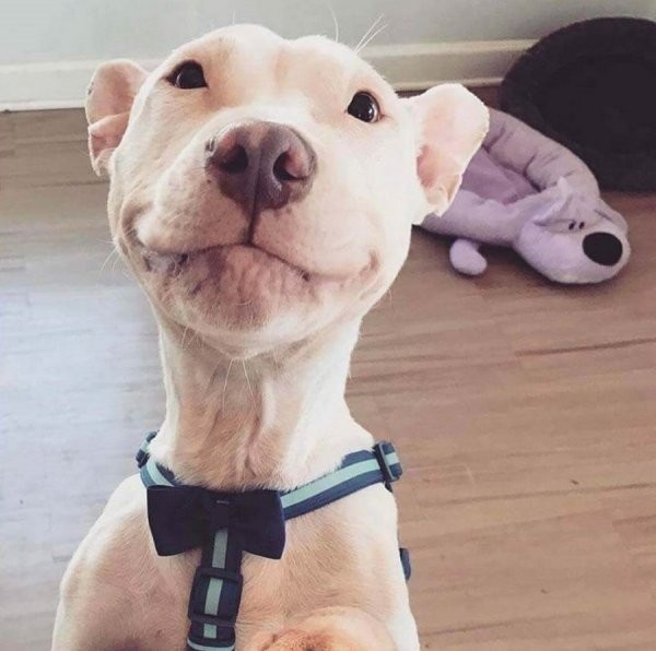 Веселое позирование (35 фото)