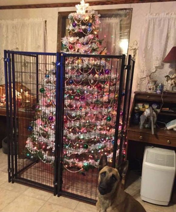 Как защитить новогоднюю елку от домашних животных (36 фото)