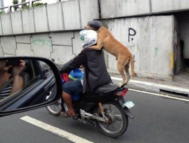 Подборка прикольных фотографий (106 фото)
