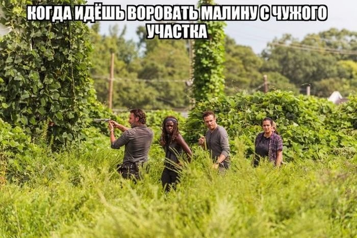 Очередная порция картинок с подписями	(22 фото)