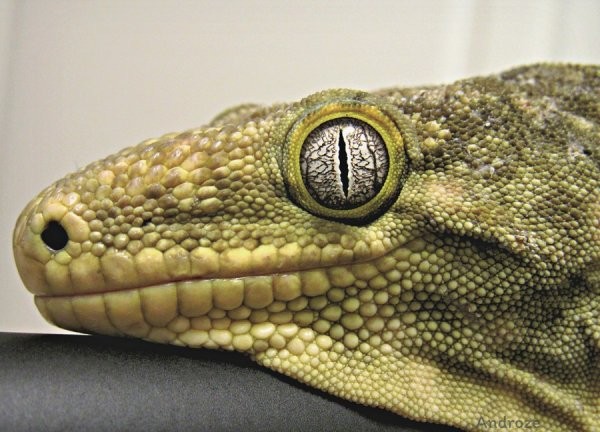 Веселое позирование (35 фото)