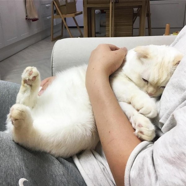 Веселое позирование (35 фото)