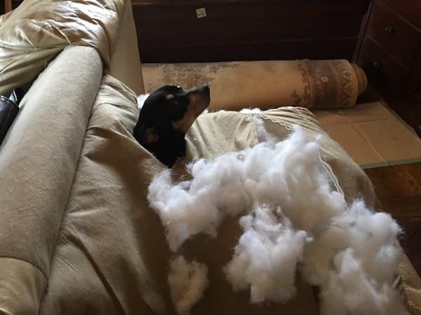 Веселое позирование (35 фото)