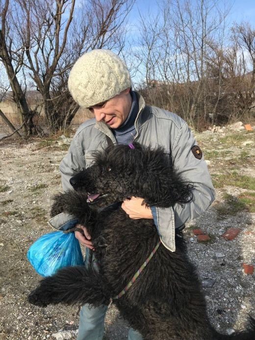В Новороссийске пес два месяца ждал хозяйку из больницы (3 фото)