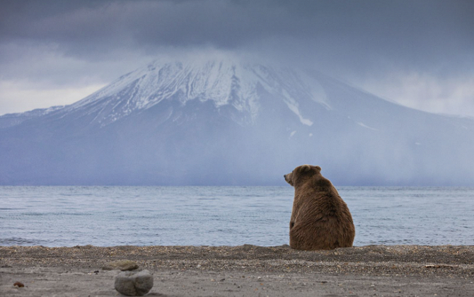 Фотоконкурс русского географического общества (12 фото)