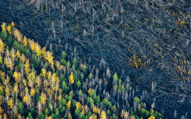 Фотоконкурс русского географического общества (12 фото)