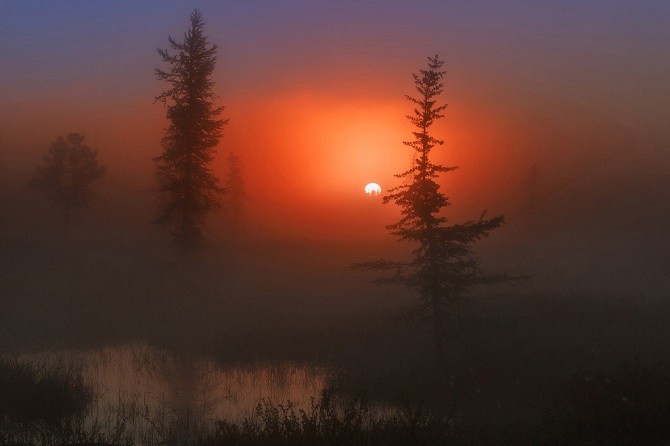 Лучшее с конкурса фотографии National Geographic (23 фото)