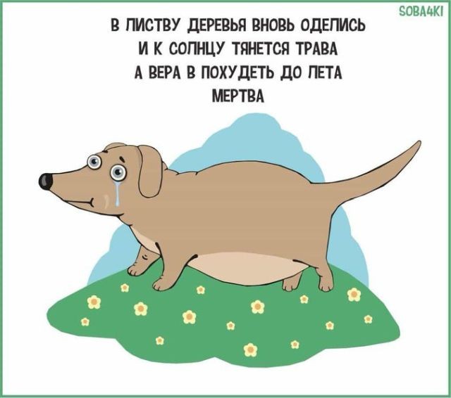 Забавные комиксы и стишки-пирожки о нашей жизни (21 фото)