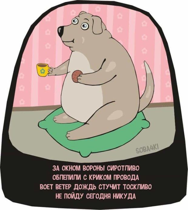 Забавные комиксы и стишки-пирожки о нашей жизни (21 фото)