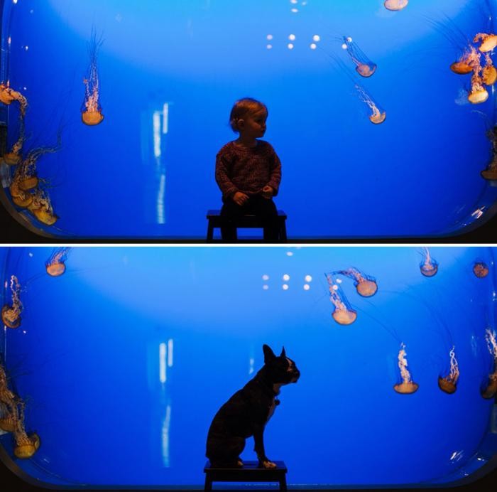 Счастливы вместе — фотоистория о взрослении девочки и щенка (10 фото)