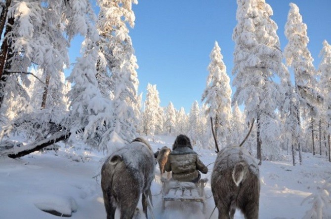 Фотографии, наполненные очарованием настоящей зимы (9 фото)