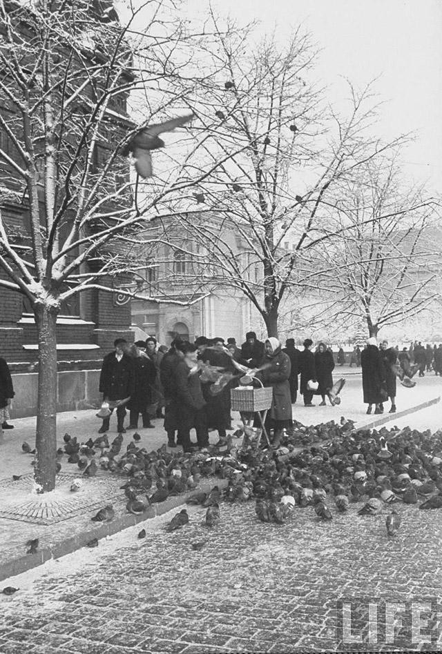 Какой была Москва в декабре 1959 года (31 фото)