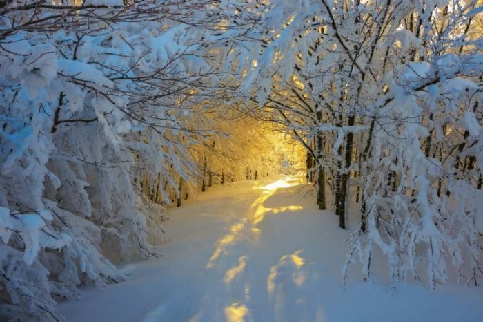 Красота зимы (20 фото)