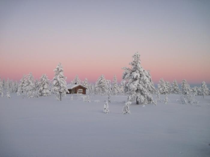 Красота зимы (20 фото)