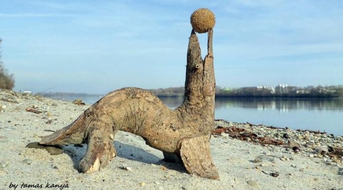 Скульптуры из коряг, выброшенных на берег (17 фото )